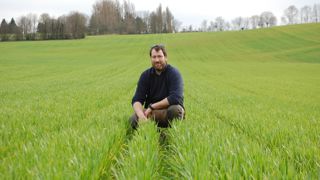Bertrand Bacle a implanté ce blé d’hiver après deux ans de culture de luzerne. L’espacement visible permet le guidage de la bineuse.