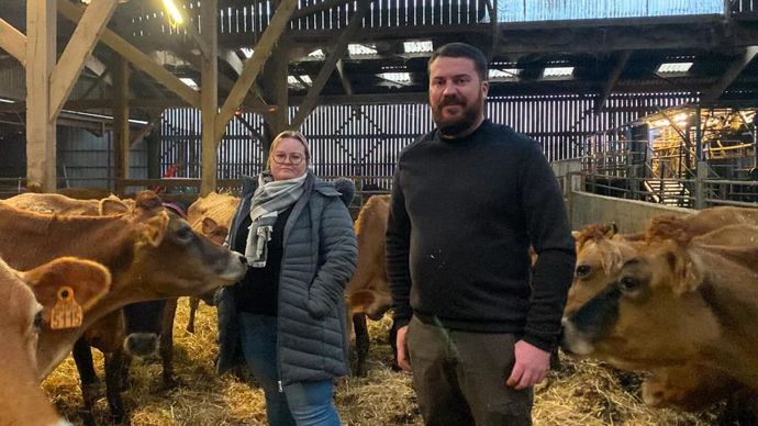 Dans le Nord, Alexis et Clara ont pensé un système pâturant simple qui limite le temps d'astreinte.