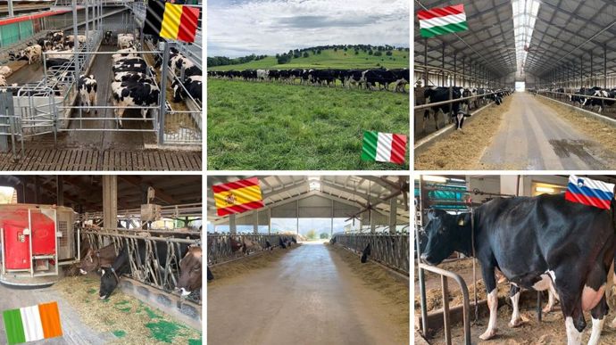 Grâce au projet européen R4D, Web-agri a pu réaliser près d'une trentaine de visites au sein d'exploitations laitières européennes. Une manière d'identifier les clés de résilience au sein des différents systèmes