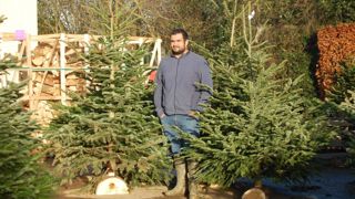 « Il faut environ cinq ans pour obtenir un sapin de 1,2 à 1,5 mètre », explique Jean-Baptiste Filmont, associé du Gaec du Vieux Chêne à Leffard, dans le Calvados. « Il faut environ cinq ans pour obtenir un sapin de 1,2 à 1,5 mètre », explique Jean-Baptiste Filmont, associé du Gaec du Vieux Chêne à Leffard, dans le Calvados.