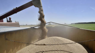 En 2023, 35 millions de tonnes de blé tendre ont été produites en France. En 2023, 35 millions de tonnes de blé tendre ont été produites en France.