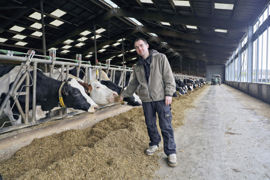 Laurent Winckel distribue quotidiennement des drêches de brasserie qu'il récupère toutes les 3 semaines. Laurent Winckel distribue quotidiennement des drêches de brasserie qu'il récupère toutes les 3 semaines.