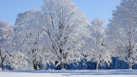 5 à 10 cm seront possibles sur les Hauts-de-France mercredi 8 janvier.