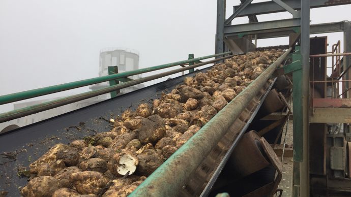 La sucrerie Ouvré de Souppes-sur-Loing annonce sa fermeture