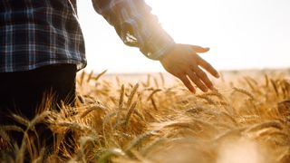 Tout savoir sur la mutuelle agricole