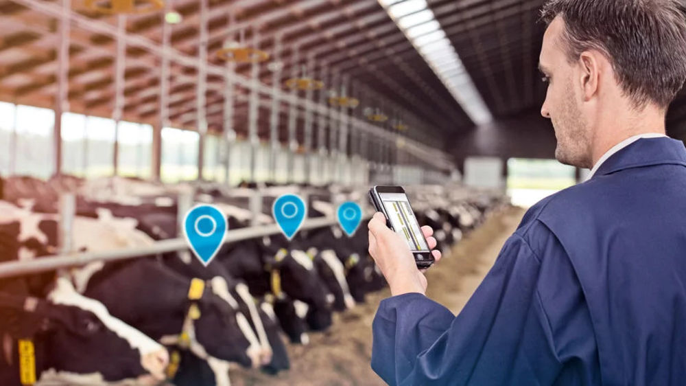 Face à l'augmentation des coûts, pensez à la localisation des vaches de Nedap