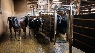 Que faut-il prendre en compte lors de l'achat d'une porte de tri ?