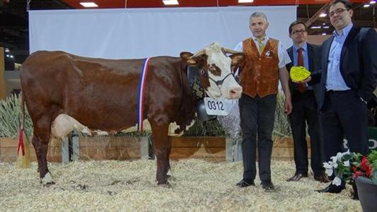 Camelia, championne race Abondance au Sia 2013