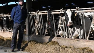 « Les fourrages représentent un quart des 4,81 euros par jour et par animal de coût alimentaire, souligne l’Florian Hervy. Mais ils constituent les trois quarts de l’ingestion. »