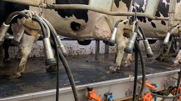 Salle de traite ou robot ? A chacun ses préférences, l'important c'est qu'animaux et trayeurs se sentent bien !