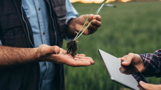 L'avenir de la séparation de la vente et du conseil phytosanitaire sera débattue à la fin de janvier au Sénat. L'avenir de la séparation de la vente et du conseil phytosanitaire sera débattue à la fin de janvier au Sénat.