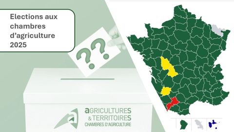 Les résultats des élections professionnelles agricoles 2025 réserveront-ils des surprises de taille ? Les résultats des élections professionnelles agricoles 2025 réserveront-ils des surprises de taille ?