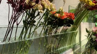 Les fleurs coupées font l’objet d’enquêtes, études, groupes de travail… pour vérifier leur innocuité quant à la santé des fleuristes. Les fleurs coupées font l’objet d’enquêtes, études, groupes de travail… pour vérifier leur innocuité quant à la santé des fleuristes.