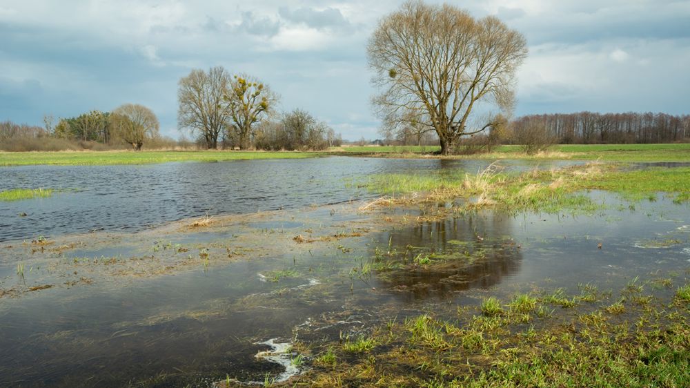 Avec le changement climatique, les contrastes saisonniers s'amplifient.