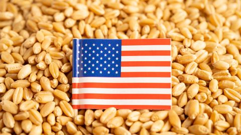 Les déclarations de Donald Trump amènent une volatilité quotidienne très forte sur le marché des grains Les déclarations de Donald Trump amènent une volatilité quotidienne très forte sur le marché des grains