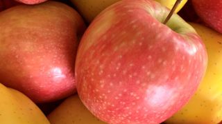 La limite maximale de résidus de l'acetamipride pour les pommes est pour le moment fixée à 0,07 mg/kg. La limite maximale de résidus de l'acetamipride pour les pommes est pour le moment fixée à 0,07 mg/kg.