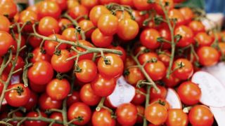 Face à la concurrence de la provenance marocaine, le CGAAER propose de modifier les prix d’entrée et valeurs d'importations des tomates fraîches. Face à la concurrence de la provenance marocaine, le CGAAER propose de modifier les prix d’entrée et valeurs d'importations des tomates fraîches.