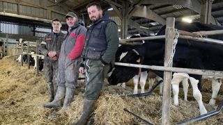 Augmenter. Le 1er septembre, Alban Fontaine (à droite) sera associé de ses parents Didier (au centre) et Sophie. Ils projettent la construction d’une stabulation de 140 logettes et d’une aire paillée pour les vaches en début de lactation. Le bâtiment actuel est devenu obsolète pour 95 vaches traites. Ils constituent dans ce but des stocks de maïs-ensilage. Deux salariés, dont Jérémy Blanche (à gauche), les secondent.