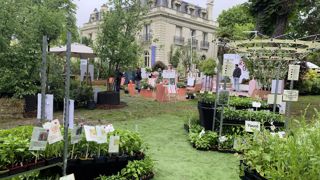 Jardins, jardin s’ouvre chaque année sur une journée professionnelle avant d’accueillir le public.
Cette année, la manifestation commence le mercredi 21 mai et se termine le 25, jour de la fête des Mères. Jardins, jardin s’ouvre chaque année sur une journée professionnelle avant d’accueillir le public.
Cette année, la manifestation commence le mercredi 21 mai et se termine le 25, jour de la fête des Mères.
