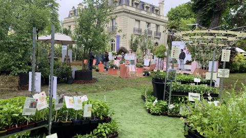 Jardins, jardin s’ouvre chaque année sur une journée professionnelle avant d’accueillir le public.
Cette année, la manifestation commence le mercredi 21 mai et se termine le 25, jour de la fête des Mères.