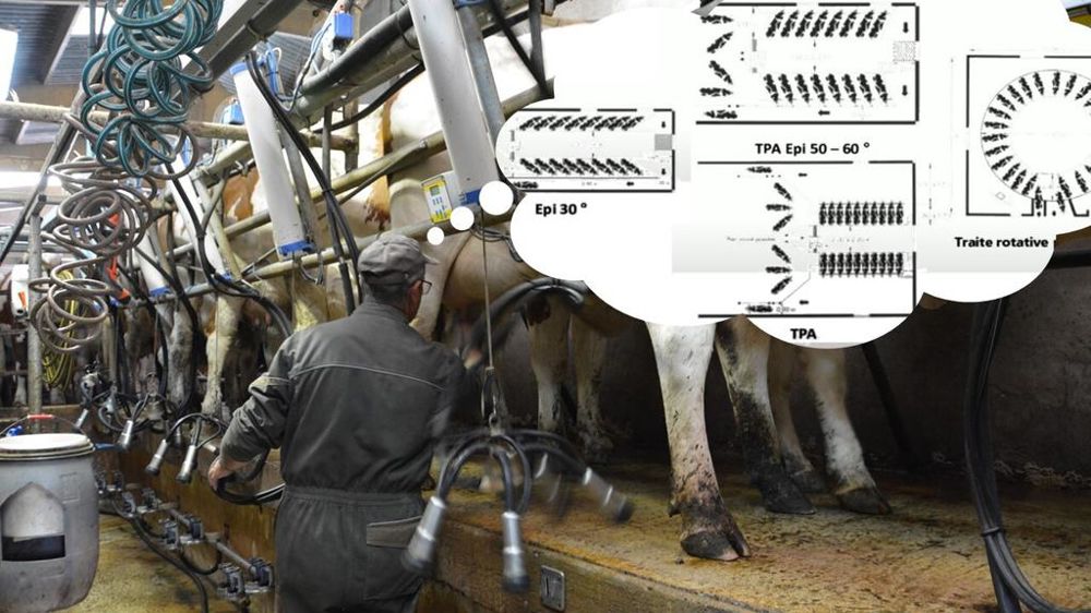 Réflexion sur un projet salle de traite