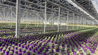 Le développement du photovoltaïque fait partie des solutions que veut soutenir le partenariat engageant EDF Commerce Grand Centre avec Végépolys Valley.