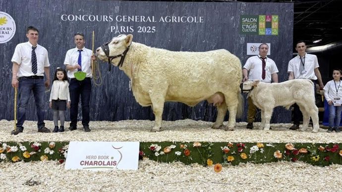Pétale est sacrée grande championne du concours Charolais du Sia 2025.