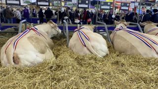 Le Concours Blond se déroulera jeudi 27 février. Le Concours Blond se déroulera jeudi 27 février.
