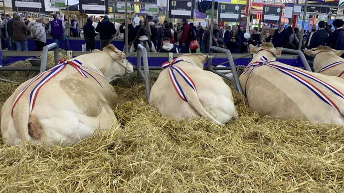 Le Concours Blond se déroulera jeudi 27 février.