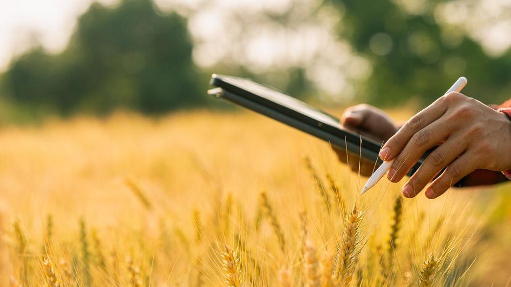 Pour la Cour des comptes les politiques publiques de soutien à l'innovation agricoles n'ont que partiellement atteint leursobjectifs.