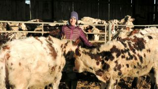 Communication conçue et proposée par le Cniel