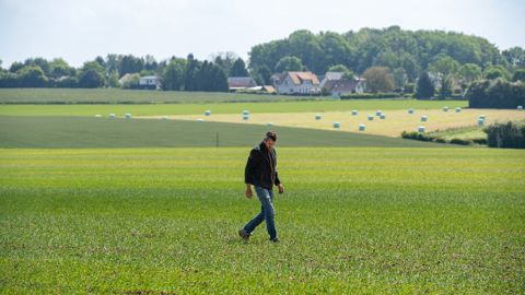 Comment maîtriser durablement les adventices ?