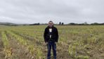 Lorsque l’année s’y prête, David Vincent cultive une petite partie de son sorgho en dérobé.