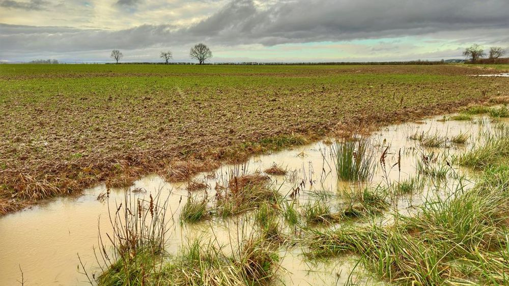 champ inondé