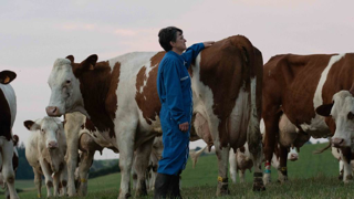 Les tests de relation Homme-animal de l'outil BoviWell sont concluants à 98 % sur les fermes laitières françaises.