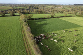 La validité du bail rural est liée au respect de la réglementation du contrôle des structures. La validité du bail rural est liée au respect de la réglementation du contrôle des structures.