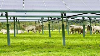 Au début de mars, la FFPA et France Agrivoltaïsme ont réagi au dépôt de la proposition de loi sur le partage de la valeur en donnant leurs positions pour un « développement raisonné et juste de l’agrivoltaïsme ». Au début de mars, la FFPA et France Agrivoltaïsme ont réagi au dépôt de la proposition de loi sur le partage de la valeur en donnant leurs positions pour un « développement raisonné et juste de l’agrivoltaïsme ».