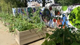 Une nouvelle version du Mooc « Agricultures urbaines » permettra de monter un projet, d’approfondir ses connaissances ou simplement de découvrir de nouvelles pratiques. Une nouvelle version du Mooc « Agricultures urbaines » permettra de monter un projet, d’approfondir ses connaissances ou simplement de découvrir de nouvelles pratiques.