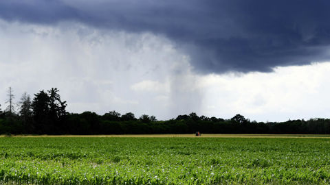 Malgré une amélioration du temps, des averses se maintiennent sur le Sud et l’Est ce début de semaine. Malgré une amélioration du temps, des averses se maintiennent sur le Sud et l’Est ce début de semaine.