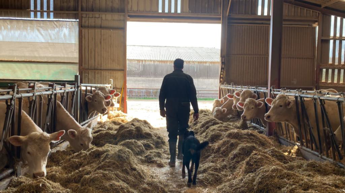 D'après un sondage réalisé sur Web-agri, seuls 8 % des éleveurs travaillent moins de 35 h semaine.