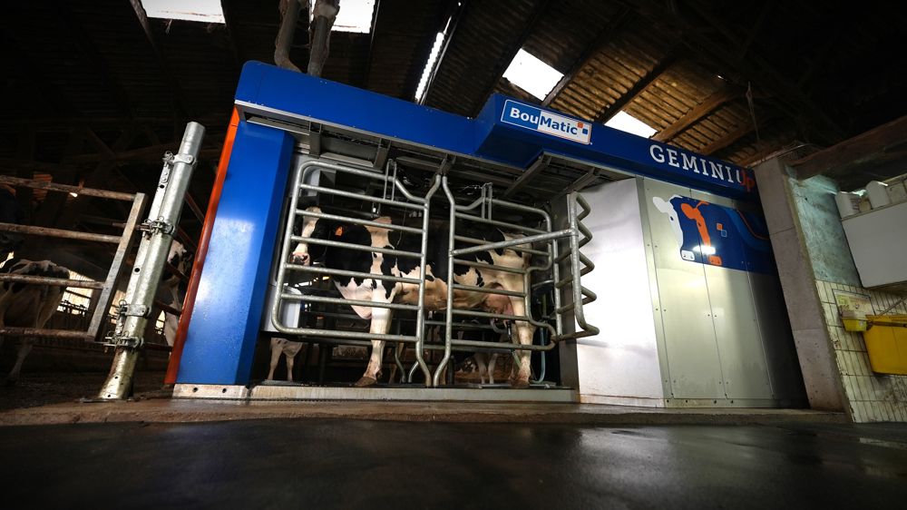 Huit mois après l’installation du Gemini UP, Régis Butlinger dresse un bilan très positif