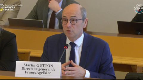 Martin Gutton, président de FranceAgriMer, a profité de l'audition organisée par le Sénat sur les missions des agences de l'Etat, pour faire connaître les missions de l'organisme public.