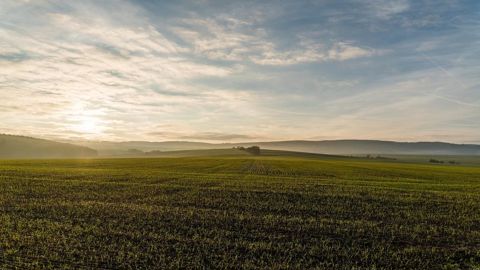 Un manque de pluies est rapporté dans le Nord de la France et en Allemagne. Un manque de pluies est rapporté dans le Nord de la France et en Allemagne.