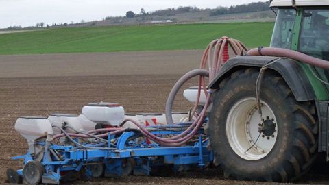 Terres Inovia dresse un état des lieux de la R&D concernant la lutte contre les dégâts d'oiseaux sur tournesol.