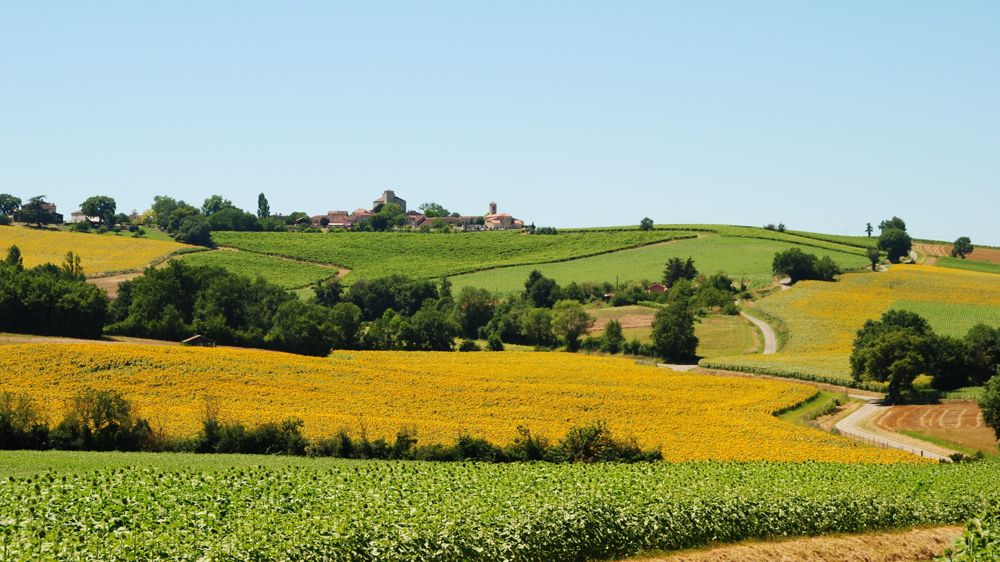 Vivadour et Terres du Sud s'engagent dans une période de discussions exclusives afin de construire un proket commun.