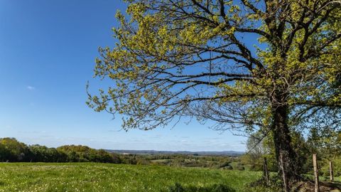 Le soleil a dominé au nord de la France en mars 2025.