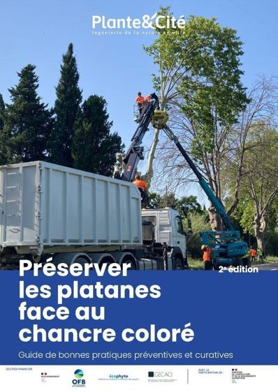 Nouvel arrêté sur le chancre coloré du platane