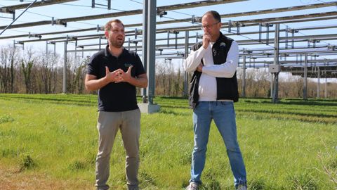Martin Lechenet d'Alliance BFC et Jean-François Cortot, agriculteur, devant la canopée agrivoltaïque de Verdonnet (Côte-d'Or).