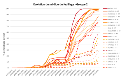 Évolution du mildiou du feuillage - Groupe 2