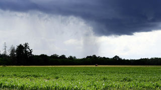 Météo France confirme l'arrivée d'une nouvelle dégradation pluvieuse, qui traversera une partie de l'Hexagone au cours du week-end pascal. Météo France confirme l'arrivée d'une nouvelle dégradation pluvieuse, qui traversera une partie de l'Hexagone au cours du week-end pascal.
